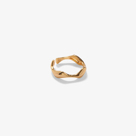 ANILLO ONDAS | BAHÍA